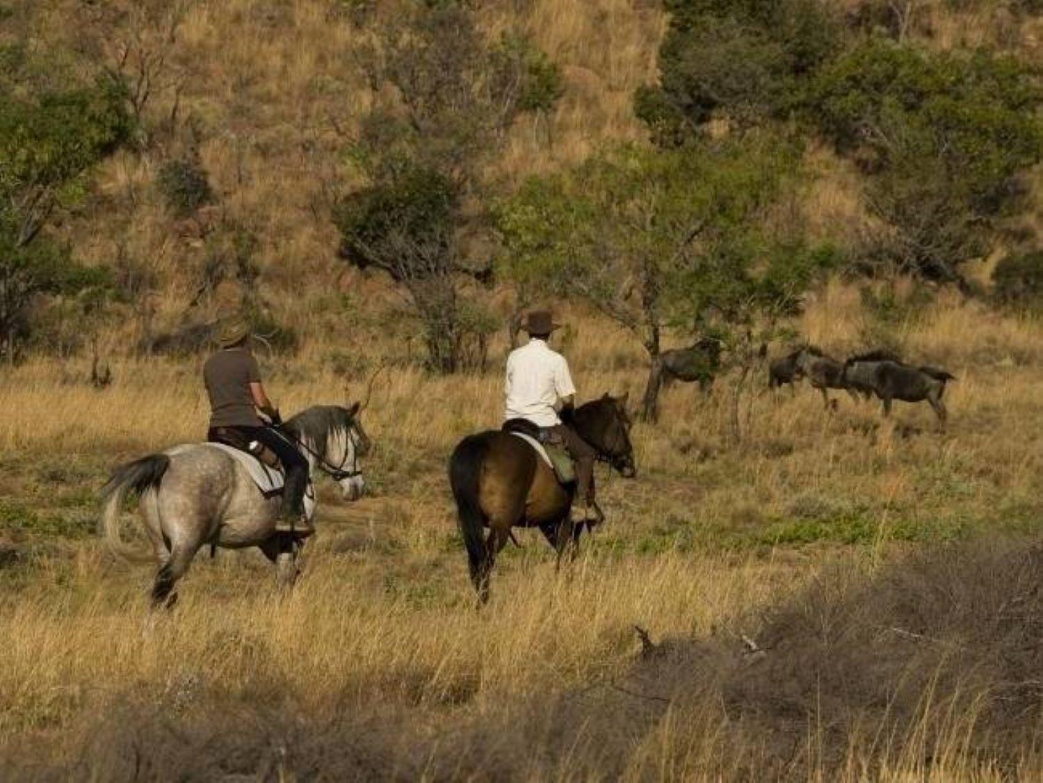 Wielewaal Bush Lodge Marloth Park Exterior photo